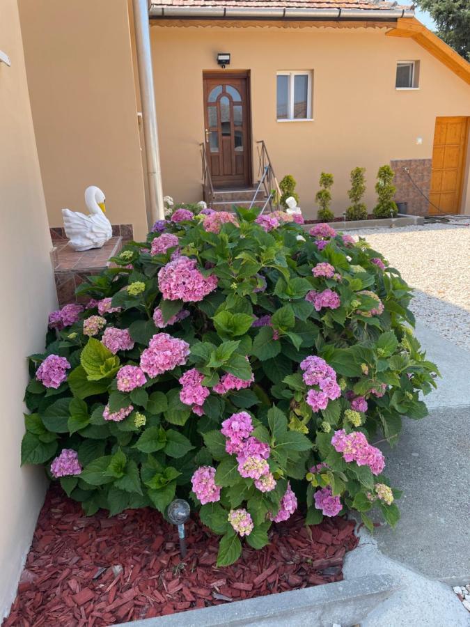 Toerpi Apartman Halmaj Dış mekan fotoğraf